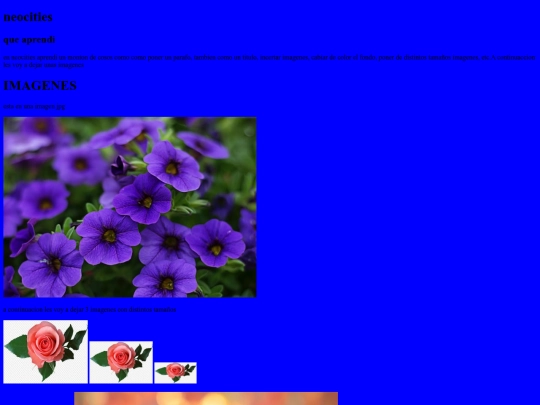 informe screenshot
