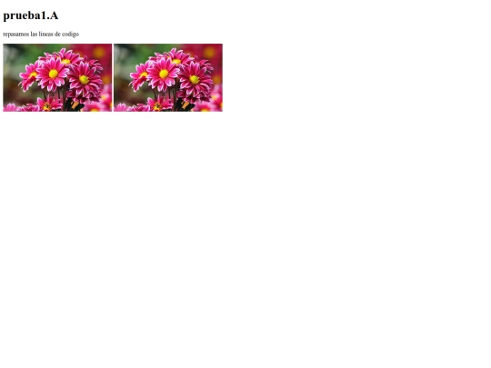 prueba1A screenshot