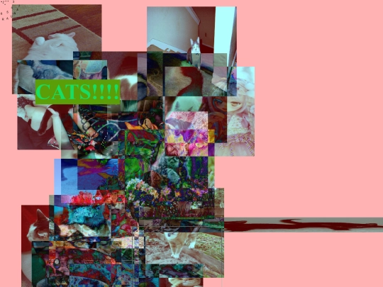 CATS screenshot