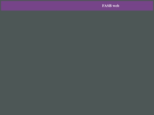 marquee screenshot