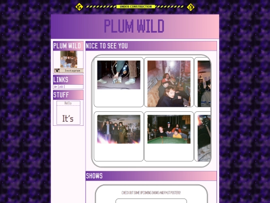 plumwildsroom screenshot