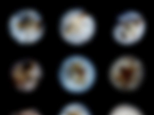 insect screenshot
