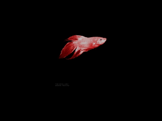 list/devil screenshot