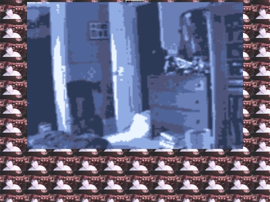 cam screenshot