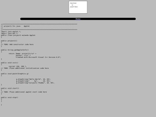 java/project1 screenshot