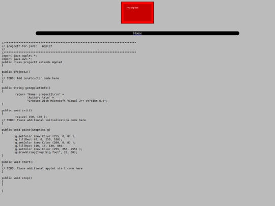 java/project2 screenshot