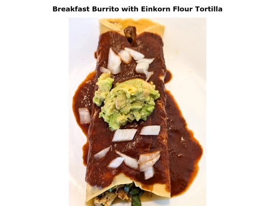 breakfastburrito screenshot