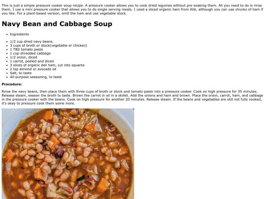 navybeanandcabbagesoup screenshot