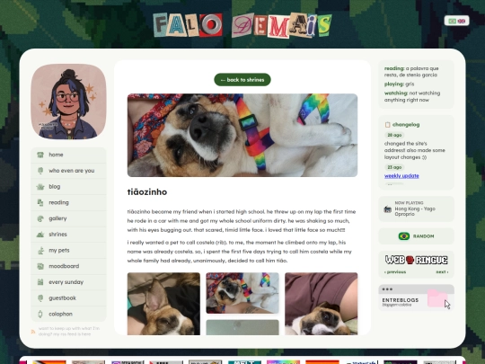 tiaozinho screenshot