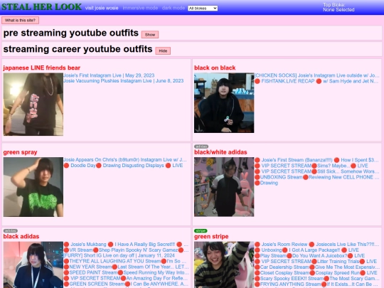 stealherlook screenshot