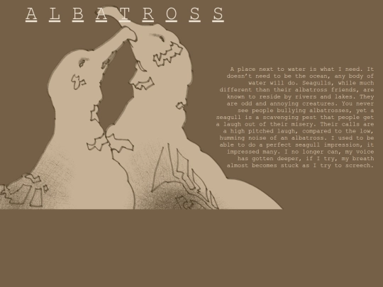 albatrosses screenshot