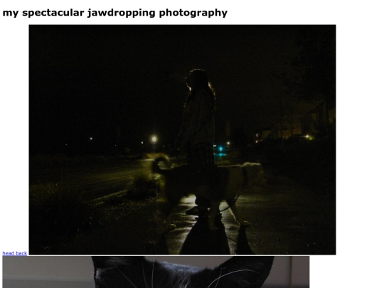 photography screenshot