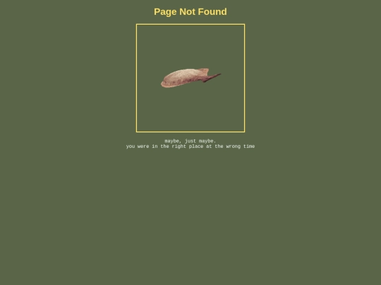 not_found screenshot