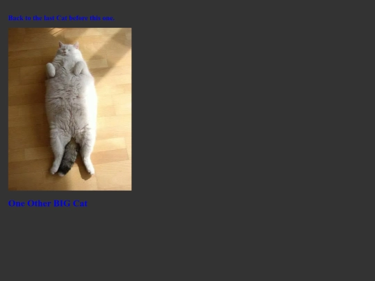PhatCat2 screenshot