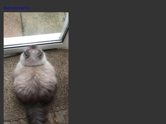 PhatCat3 screenshot