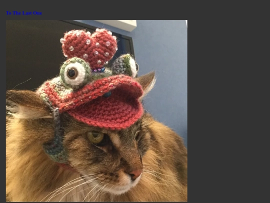 PhatCat5 screenshot