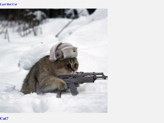 PhatCat6 screenshot
