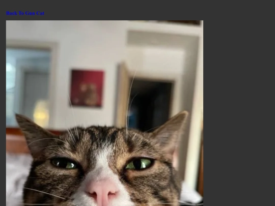 PhatCat7 screenshot
