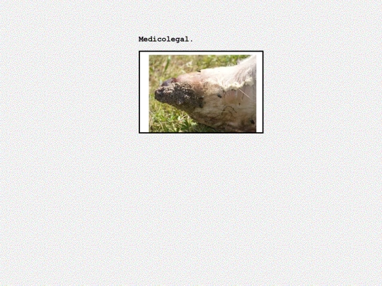 medicolegal screenshot