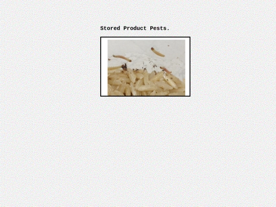 storedproductpests screenshot