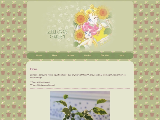 garden/ficus screenshot