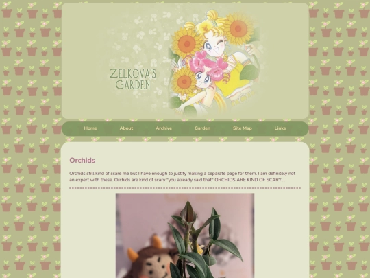 garden/orchids screenshot