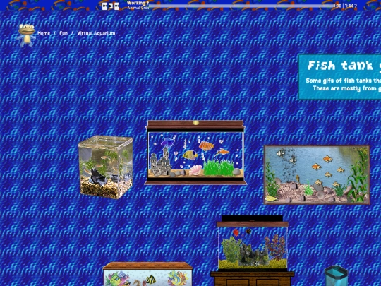 aquarium-page3 screenshot