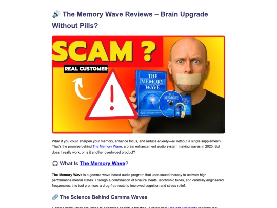 REVIEWS/the_memory_wave screenshot