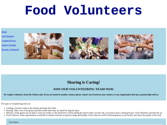 Final Project/VolunteeringForm screenshot