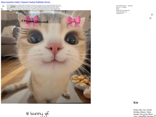 aboutme screenshot