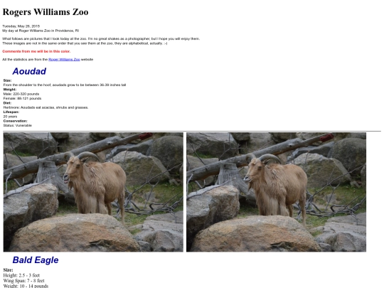 RWZoo screenshot