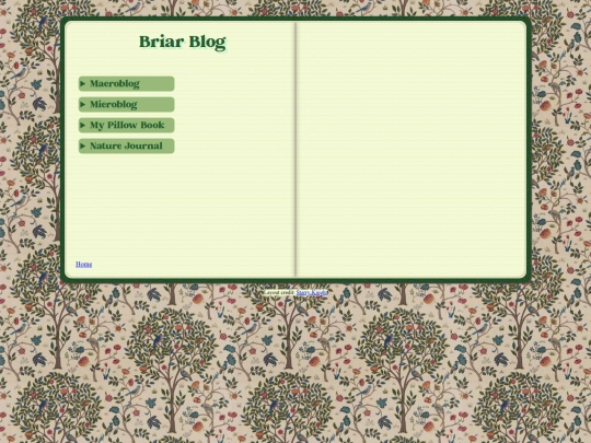 blog/blog screenshot