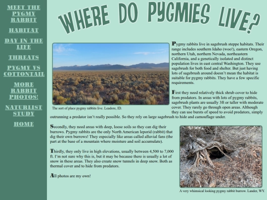 pygmyrabbit/pygmyhabitat screenshot
