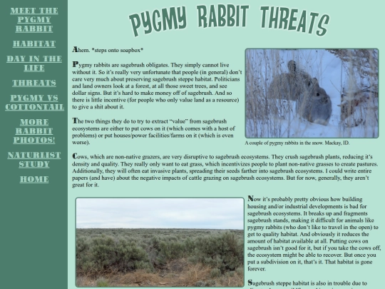 pygmyrabbit/pygmythreats screenshot