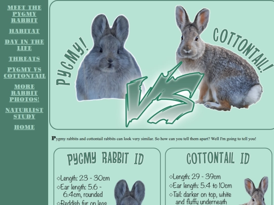 pygmyrabbit/pygmyvcottontail screenshot