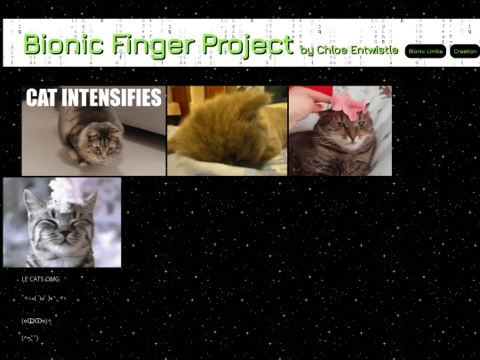 Secret-Cats screenshot