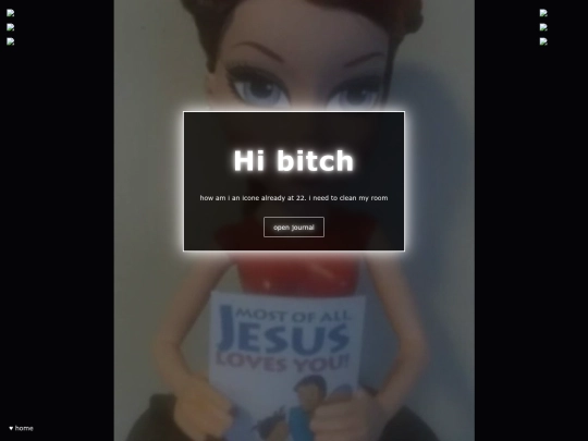 entries screenshot