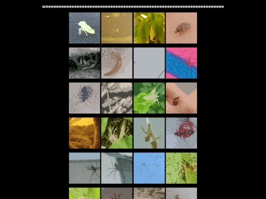 creatures screenshot