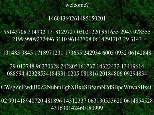 forest screenshot