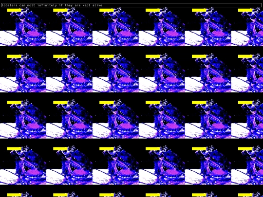 molting screenshot