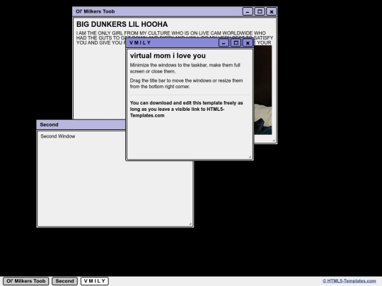 windows screenshot