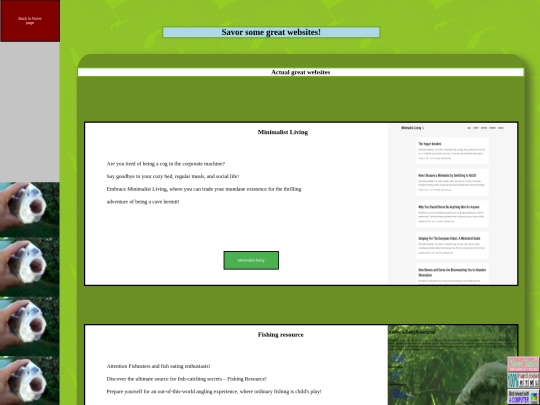 websites screenshot