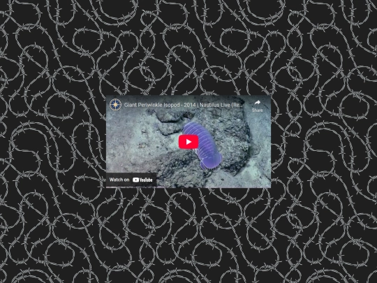 gags/giantisopod screenshot