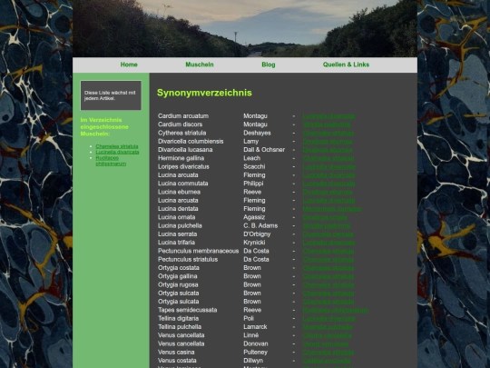 Synonymverzeichnis screenshot
