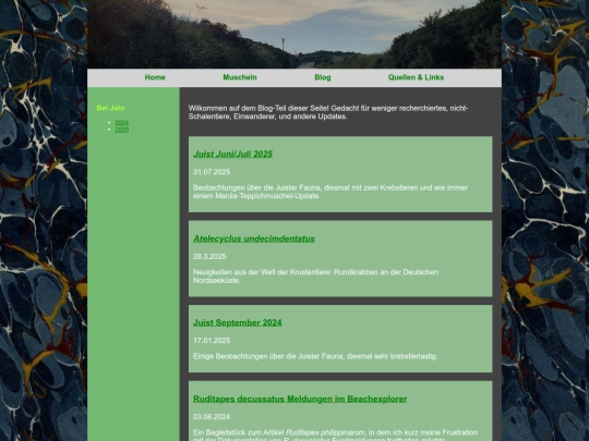 blog screenshot