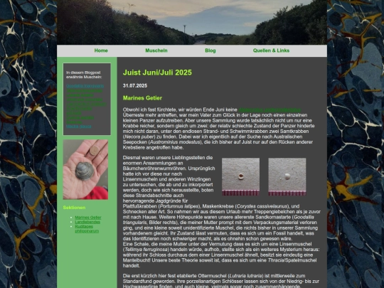 blog/JuistJuniJuli2025 screenshot