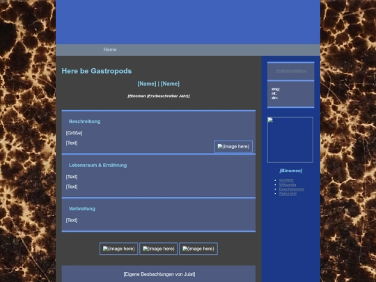 gastropoda/Testropoda screenshot