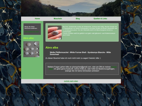 muscheln/abraalba screenshot