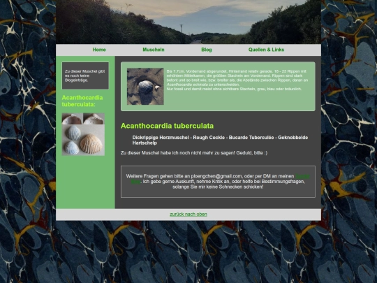 muscheln/acanthocardiatuberculata screenshot