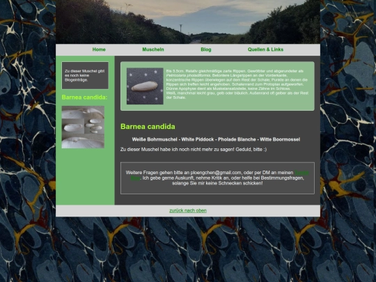muscheln/barneacandida screenshot